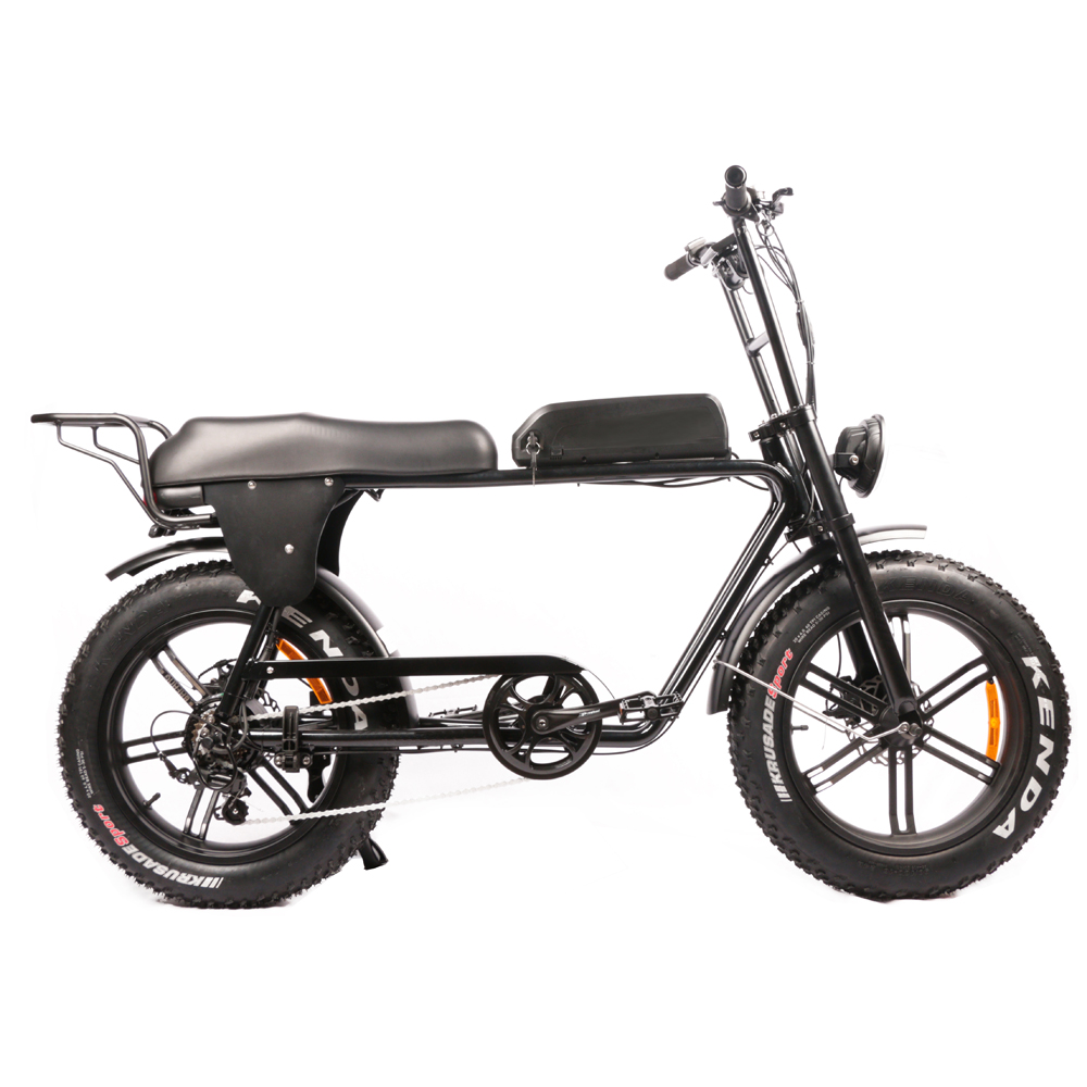 Самые дешевые электровелосипед – обзор и цена Dual Motor Electric Motorcycle Frame