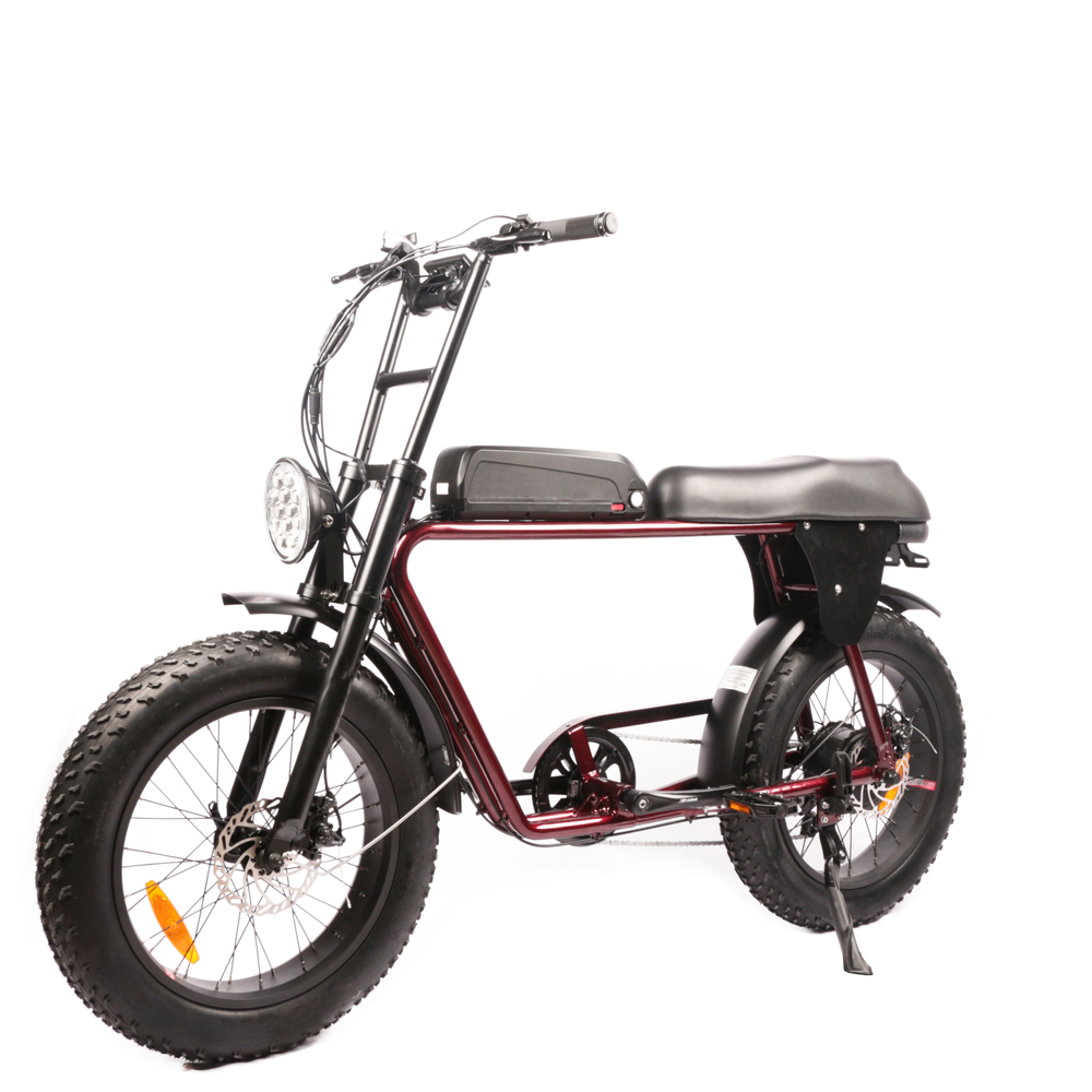 Самые дешевые электровелосипед – обзор и цена Dual Motor Electric Motorcycle Frame